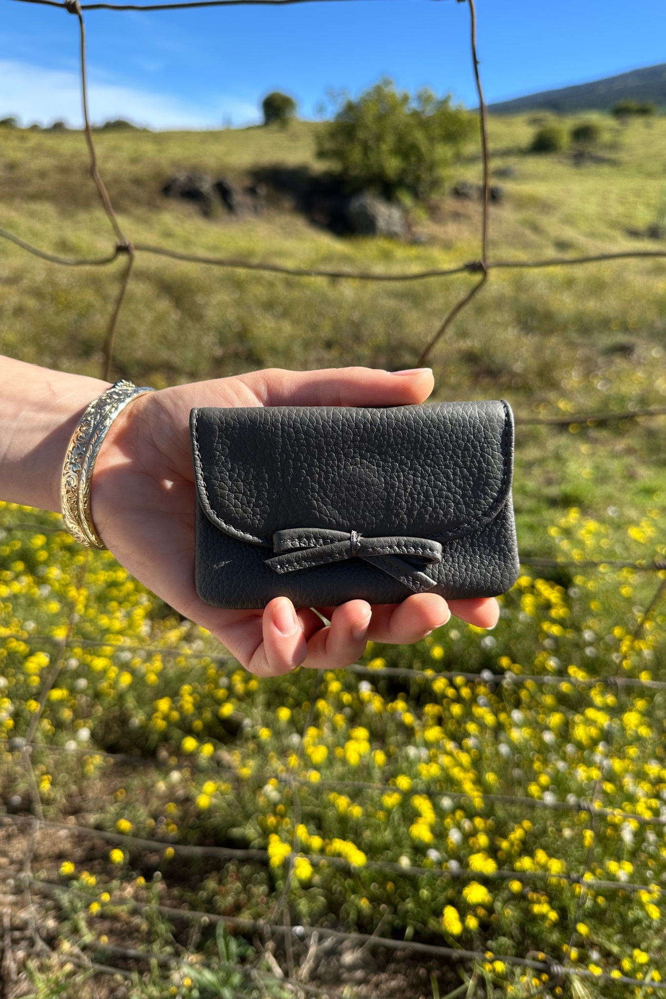 Petite Case